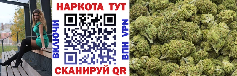 Наркотические вещества Суджа A PVP  Амфетамин  Гашиш  Героин  COCAIN  Конопля 