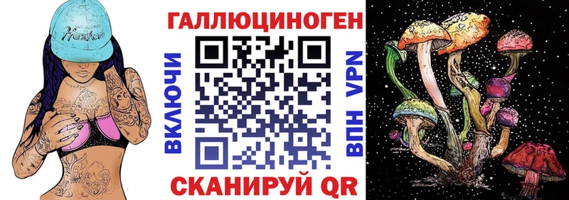 как найти закладки  Суджа  Псилоцибиновые грибы Cubensis 